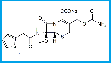 CEFOXITIN SODIUM 